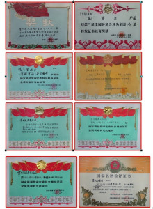所获奖项